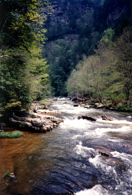 linville1.jpg (24774 bytes)